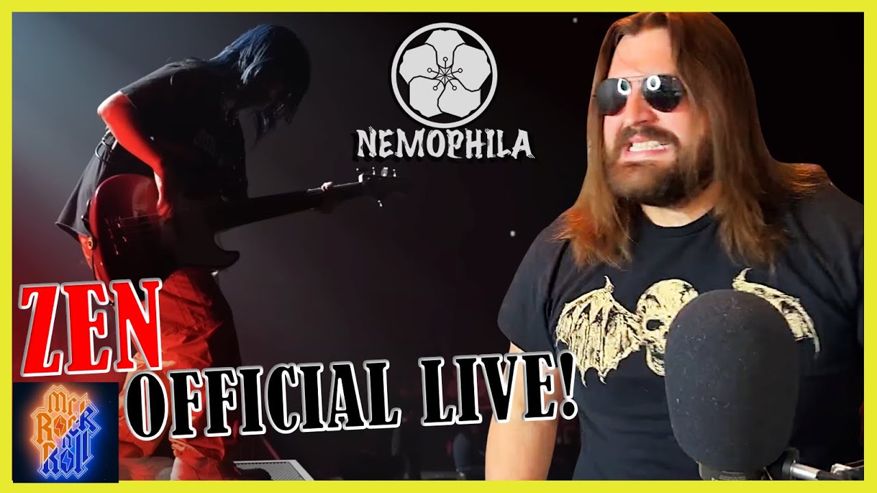 ANYTHING BUT... | NEMOPHILA / ZEN [Official Live Video] | REACTION