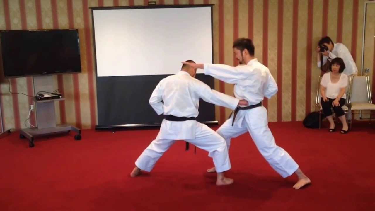 2013日本空手協会演武会（ユネスコ講演会より）