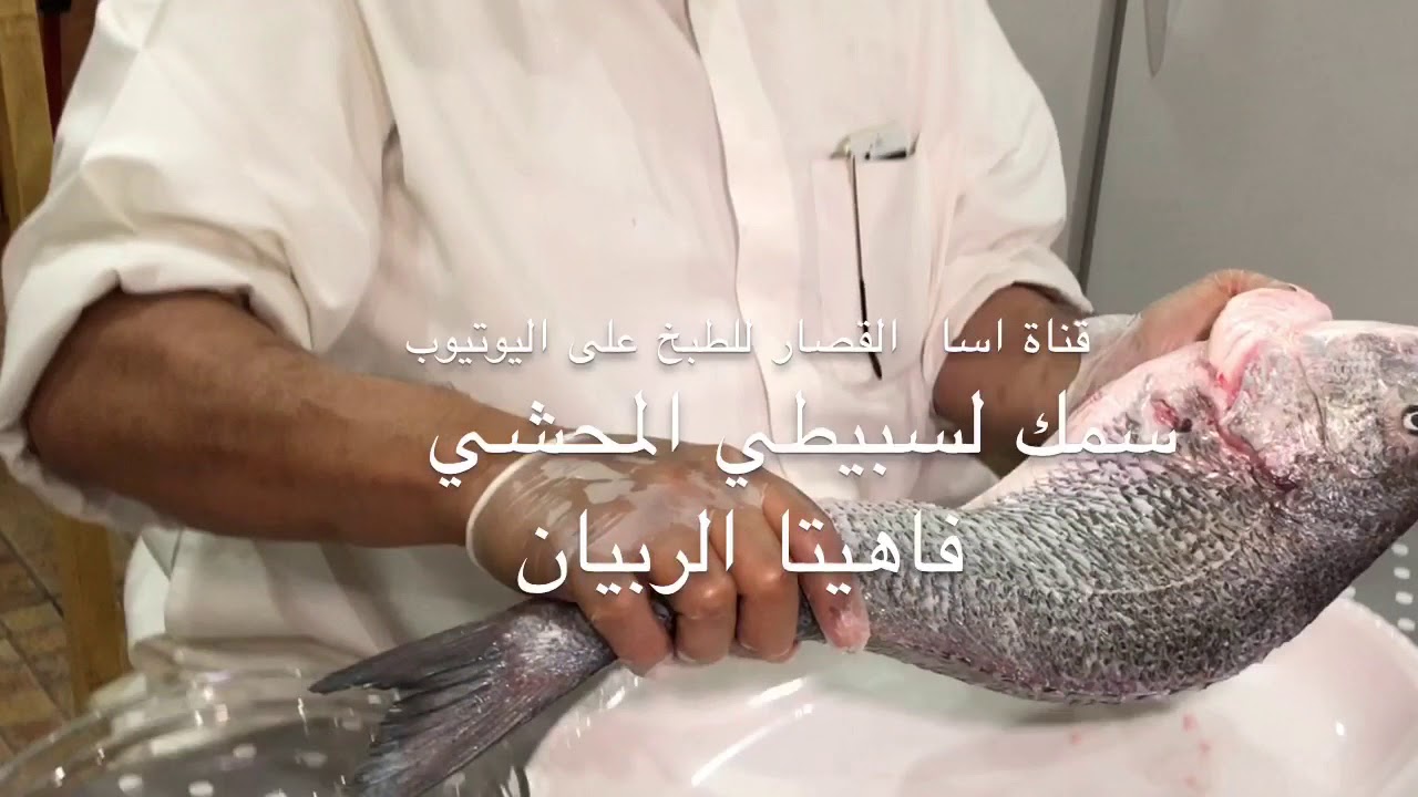 اسامه القصار سمك السبيطي المشوي ومحشي ربيان