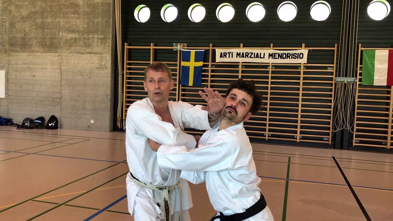 Kunibaryu Goshindo - Basic Techniques 2 - Self defense day 2018 - Taketomikai