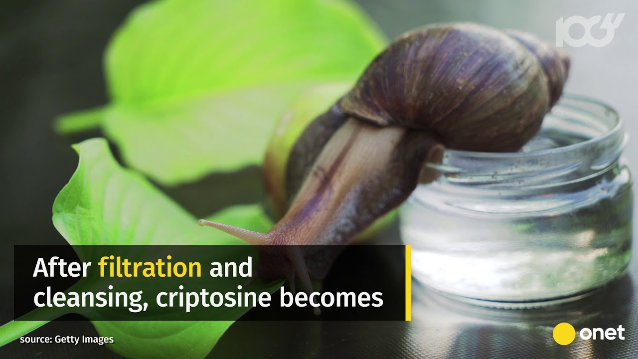 Snail Secretion Filtrate - Elixir of Youth