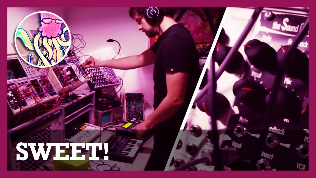 Polyphonic Eurorack Modular Synth Jam (w/ MicroBrute) #TTNM