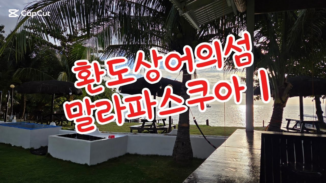 2026말라파스쿠아#환도상어#말라파스쿠아#키모드숄#모나드숄