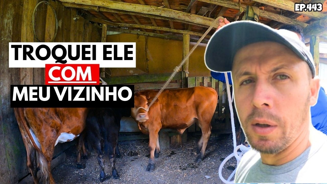 FIZ UMA TROCA DE GADO COM MEU VIZINHO, TEMPORAL ATINGIU O SITIO.EP443