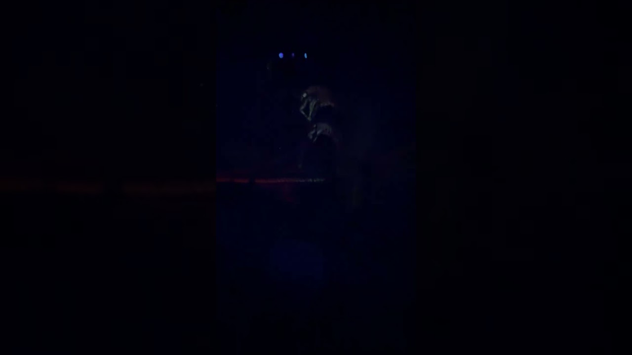 Indiana Jones™ Adventure ride at Disneyland Park CA