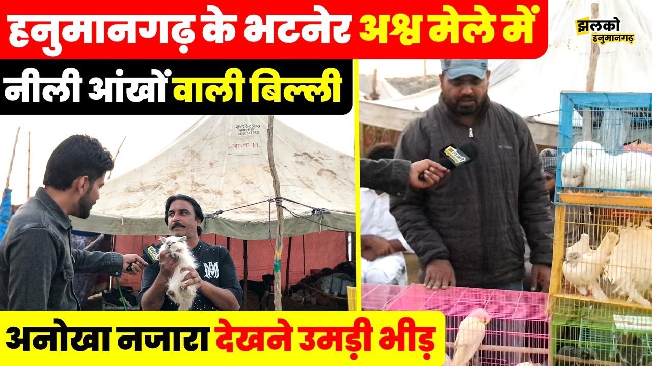 Hanumangarh के भटनेर अश्व मेले में दुर्लभ पशु-पक्षी, कीमत जानकर रह जाएंगे हैरान ~