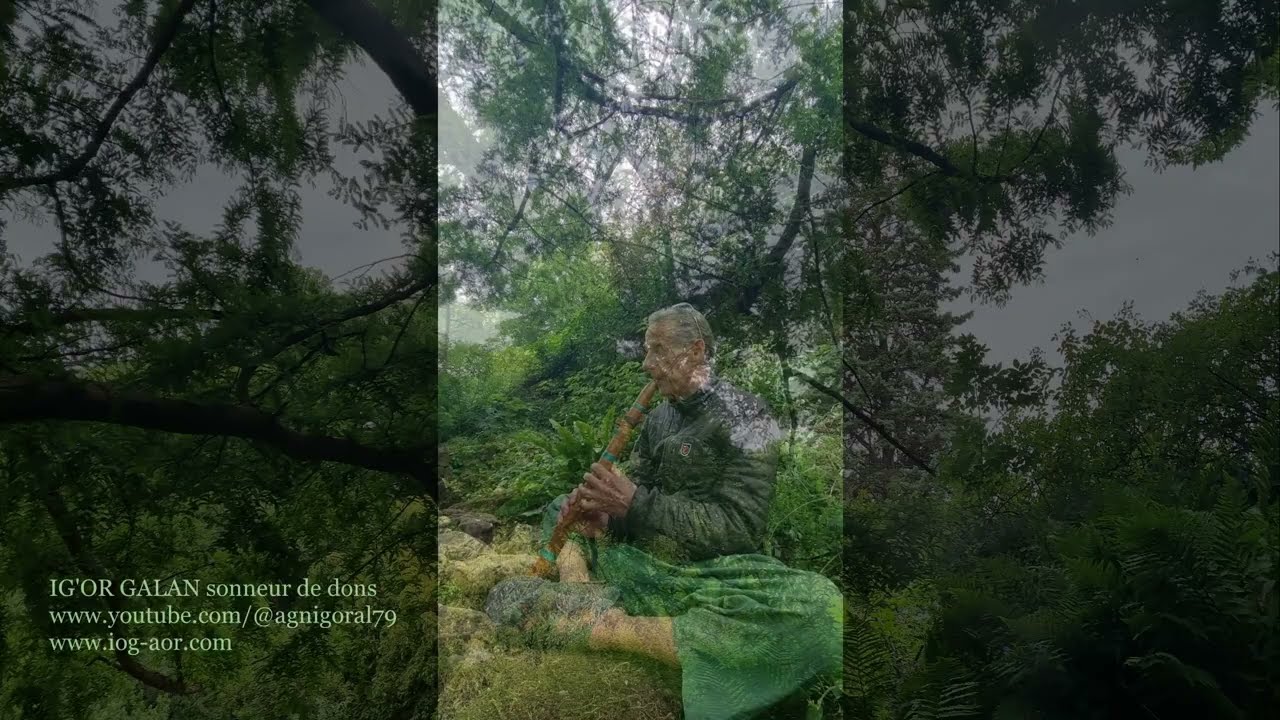 Dans l'aura du Métaséqoïa  Jardin Alpin 05 06 2025