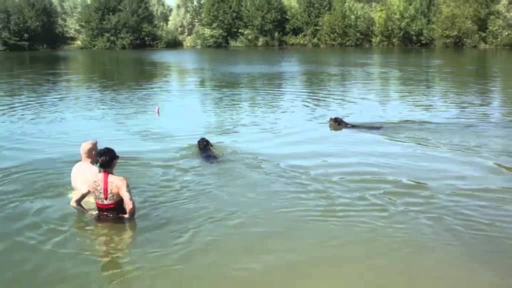 Hundeweiher Parkstetten