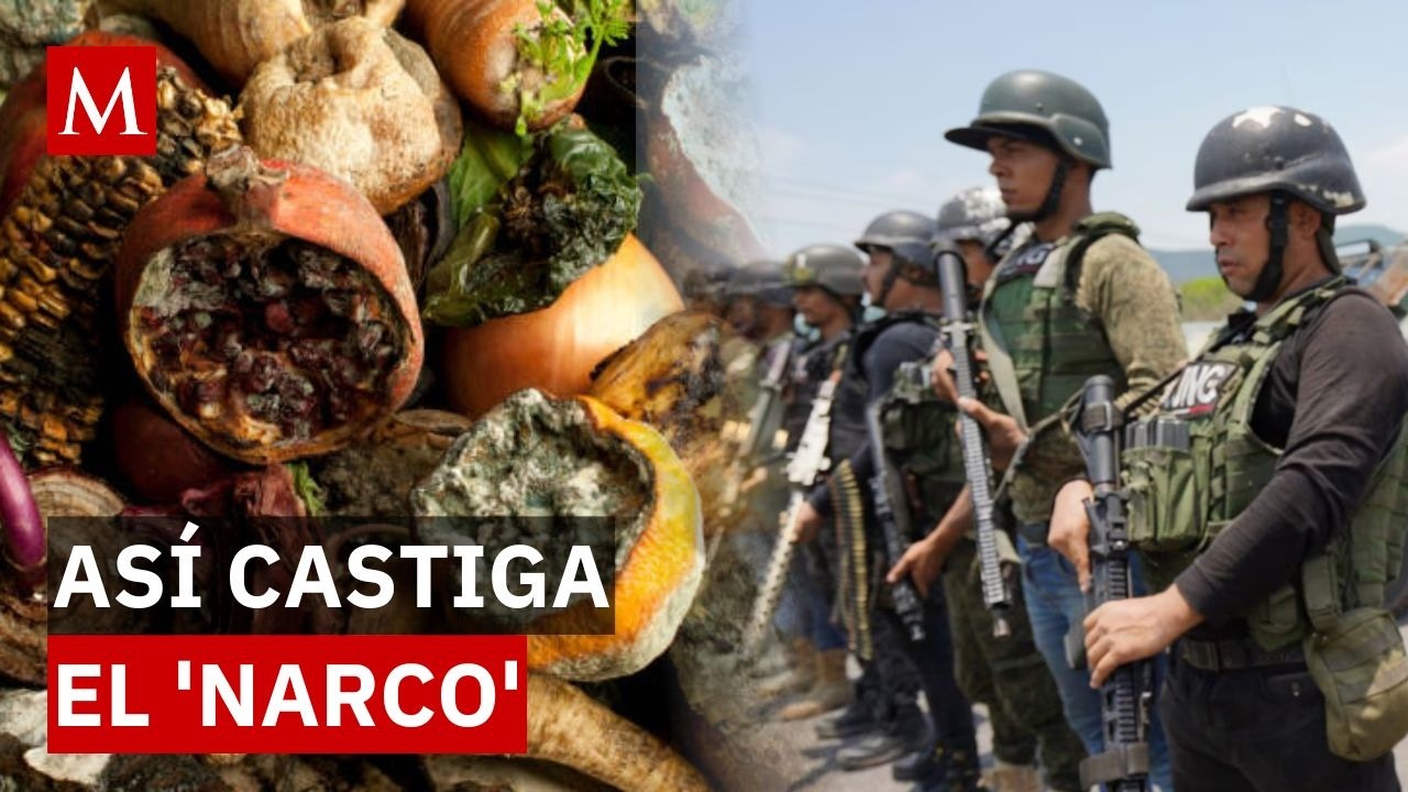 As&iacute; castiga el &lsquo;narco&rsquo; a quienes dicen &ldquo;no&rdquo;: los anexos del terror en M&eacute;xico