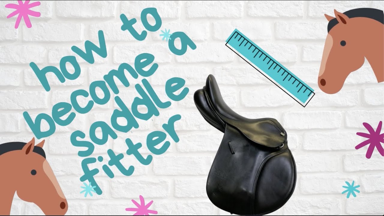 How To Become A Saddle Fitter - The steps you need to take to be a Saddle Fitter.