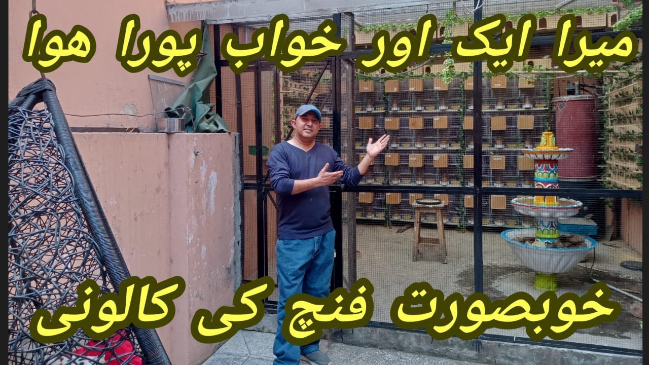 Unique Exotic Finches Aviary ||Lady Gouldian Finch Colony||Large Outdoor Finch Aviary||Rana Jibran||