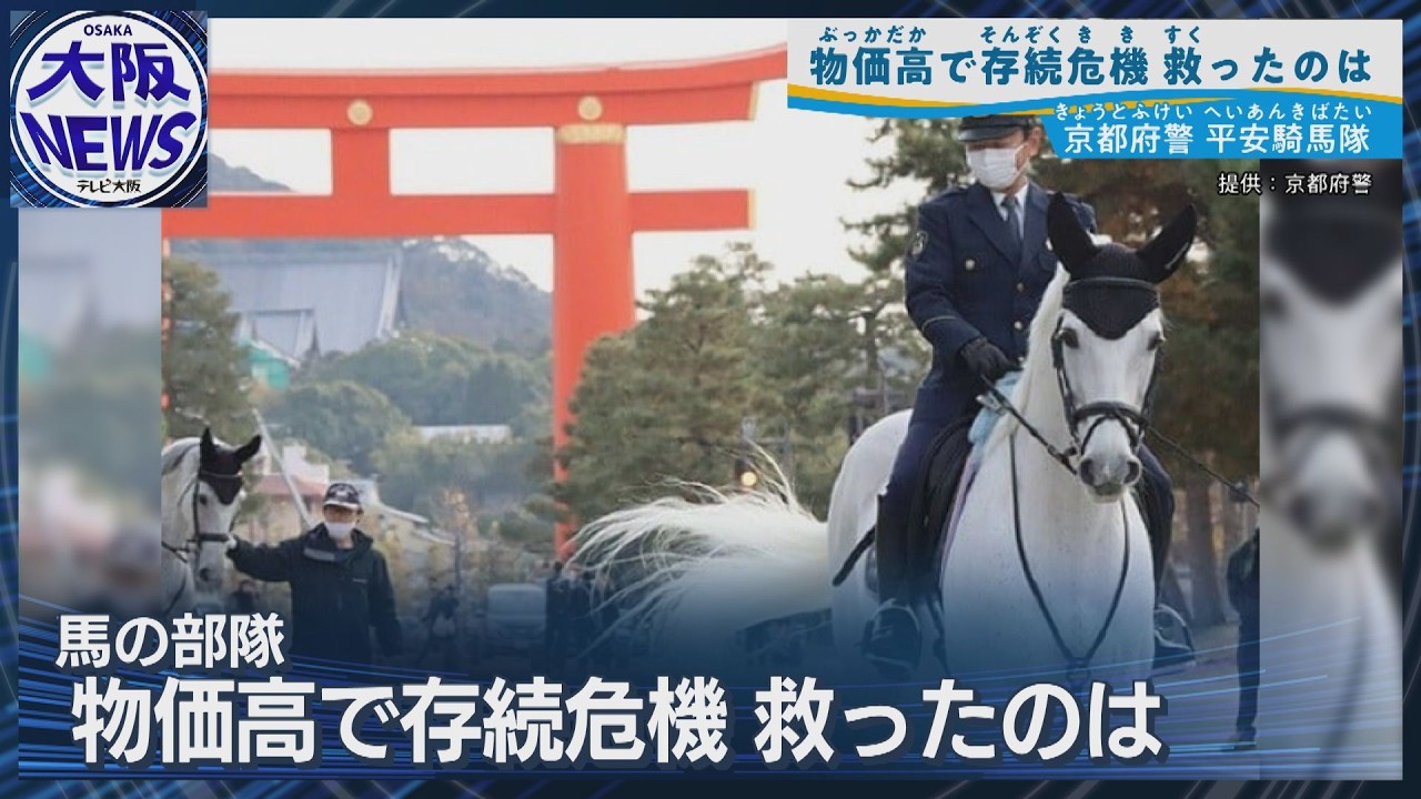 馬のおまわりさん“平安騎馬隊”存続の危機…支えたのは全国の支援！