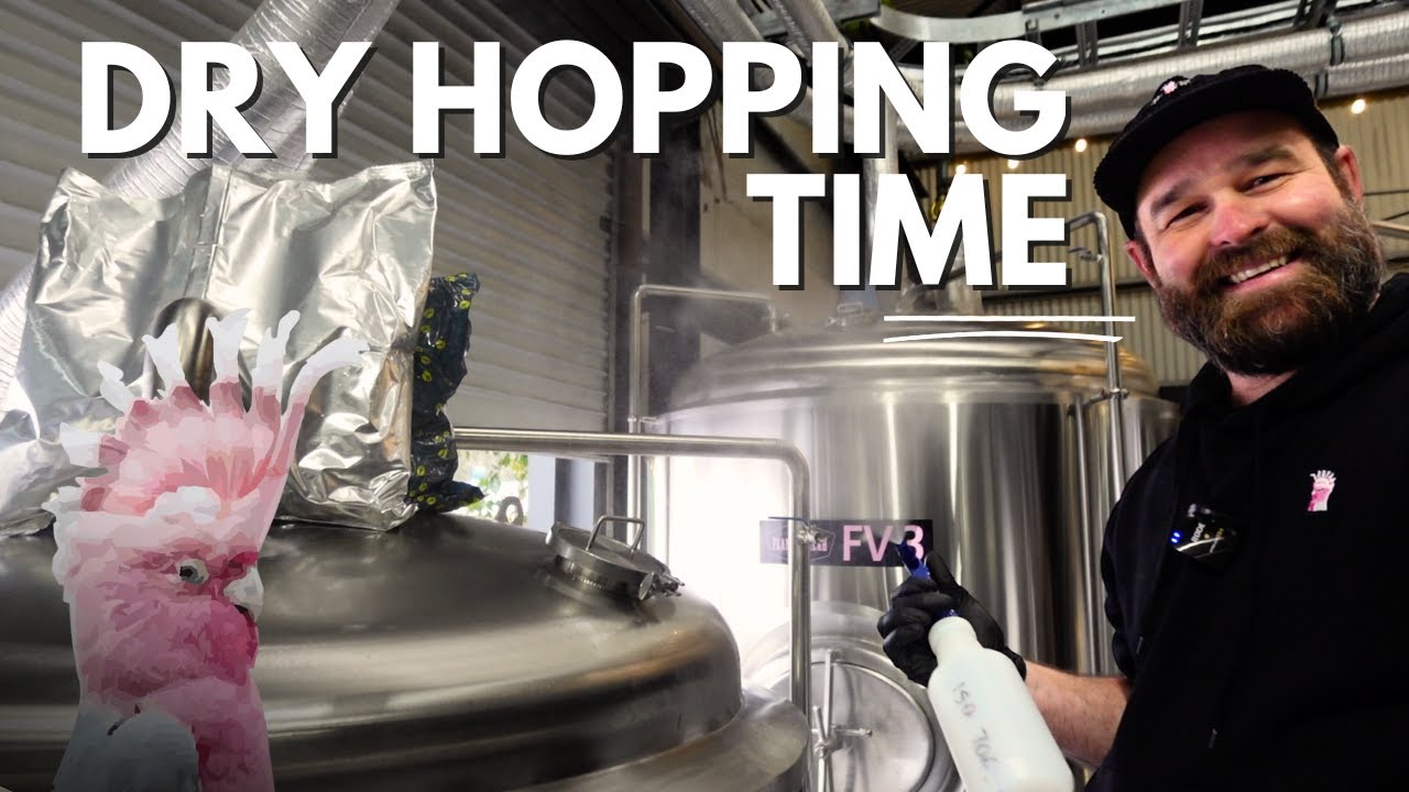 Dry Hop an XPA at Flamin Galah Brewing Co