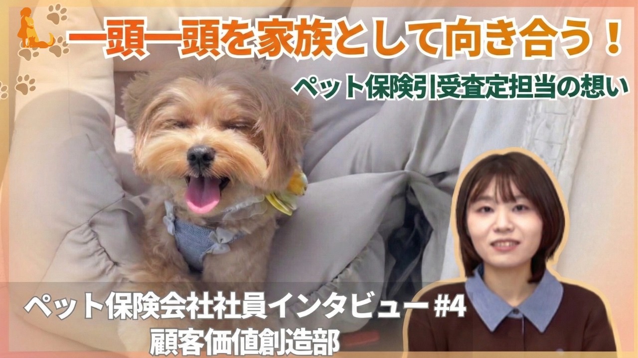 ペット保険会社リトルファミリーの社員インタビュー第4弾🎥