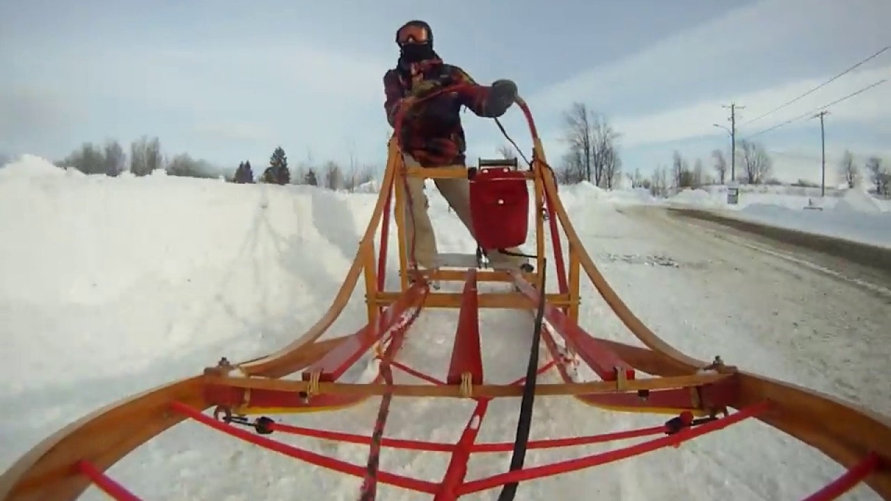 Chiens de traîneau, Ballade avec Wakisa et Lola, vidéo 7