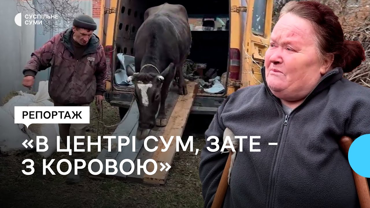 Як евакуйована з коровою родина облаштувалася в Сумах