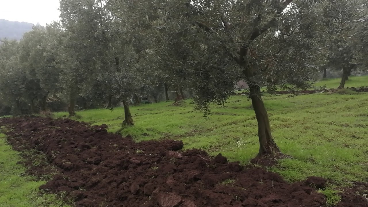 Johndeere gl 5085(4)