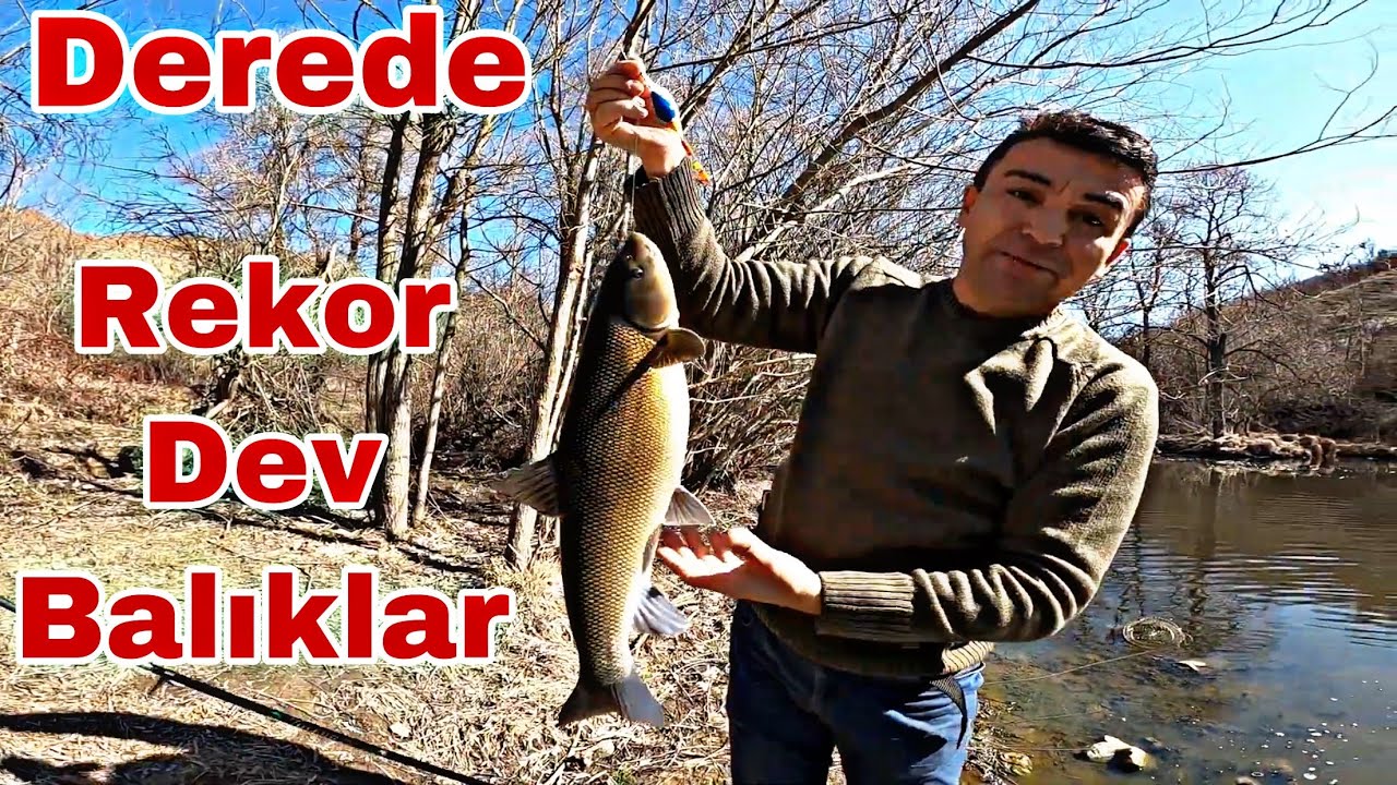 DEREDE BALIK YAKALAMA ( DEV BALIKLAR ) - YOSUN BALIĞI (Siraz Balığı) OLTA TAKIMI NASIL YAPILIR ?