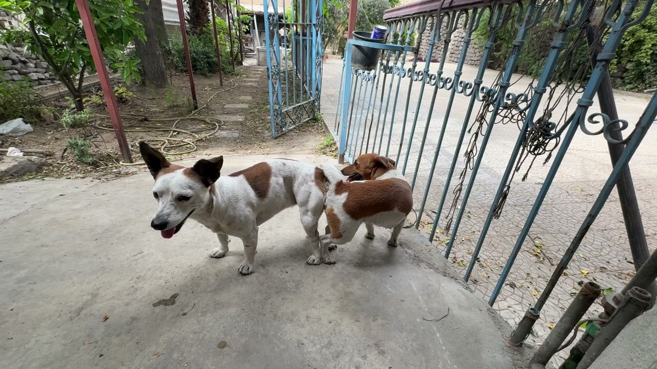 بالرفاه و البنين 🥰😅