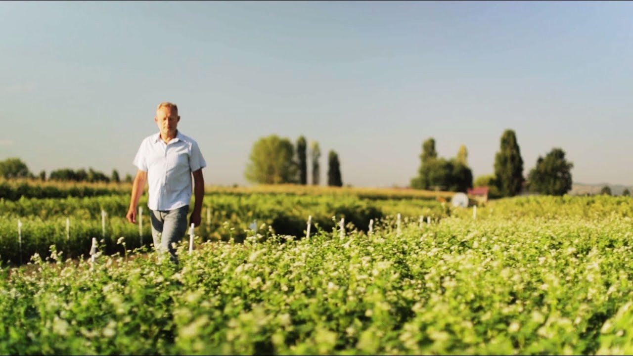 Sch&auml;r&rsquo;s farmers