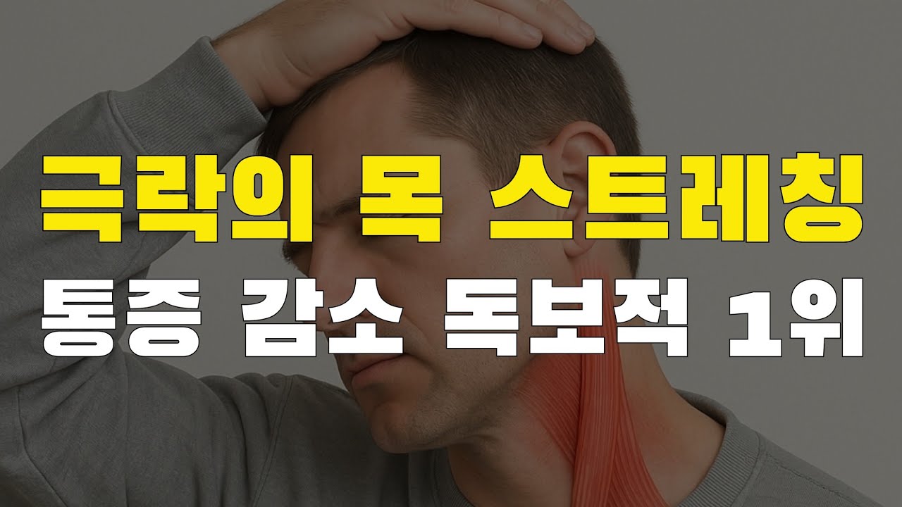 극락의 목 스트레칭. 신전 운동보다 압도적으로 좋습니다. 2주 했는데 통증이 싹 사라졌습니다.