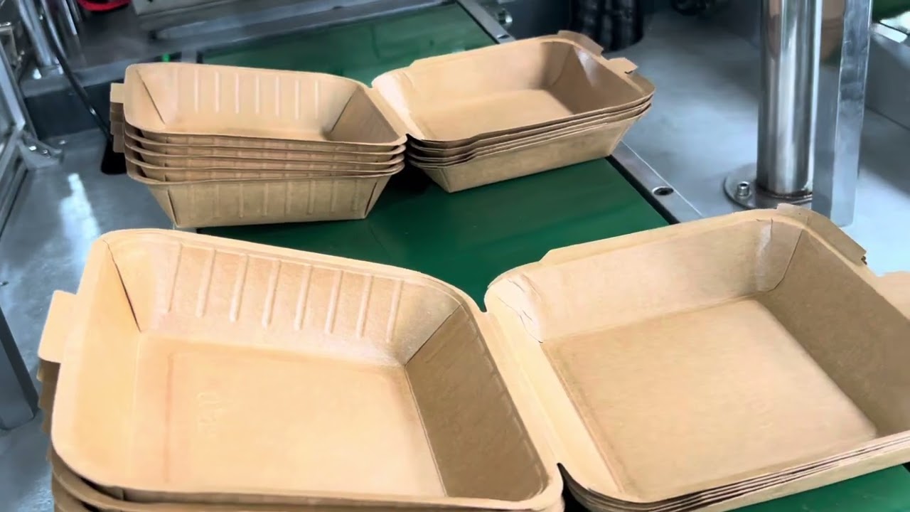 Double dies paper food box making machine biodegradable paper rice box machine for exports
