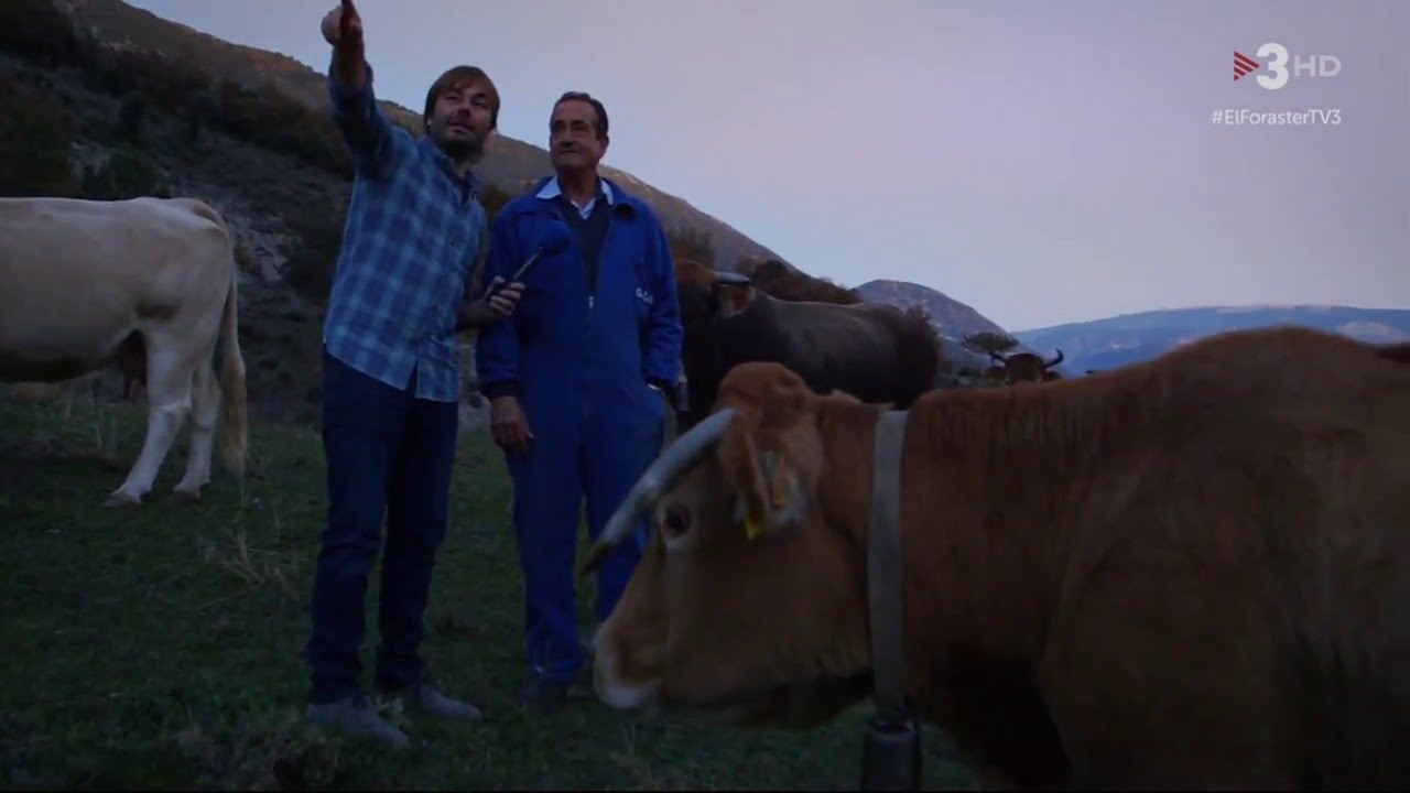 Vall de Cabó al programa, El Foraster a Organyà.
