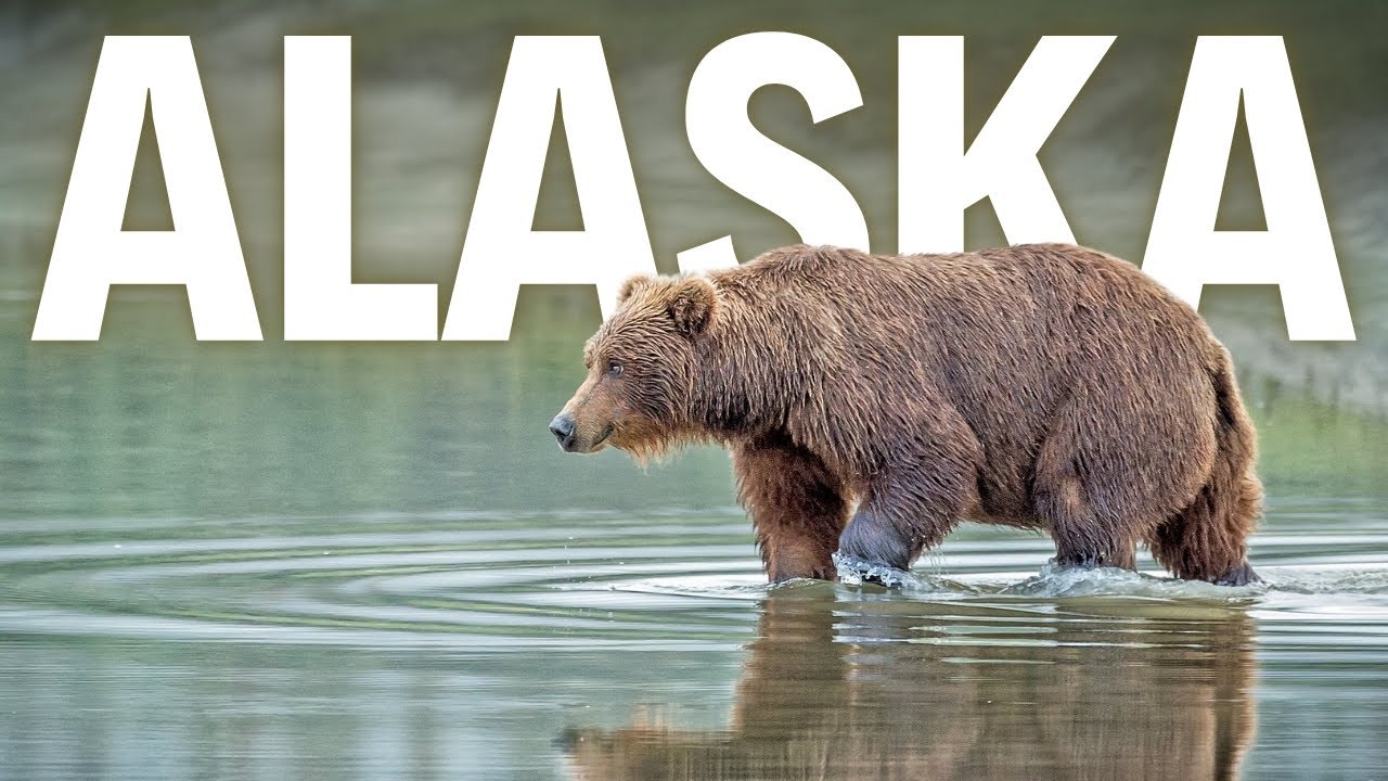 Unbelievable Alaska | Adventures You Can’t Miss in 2026 | Travel Guide 4k