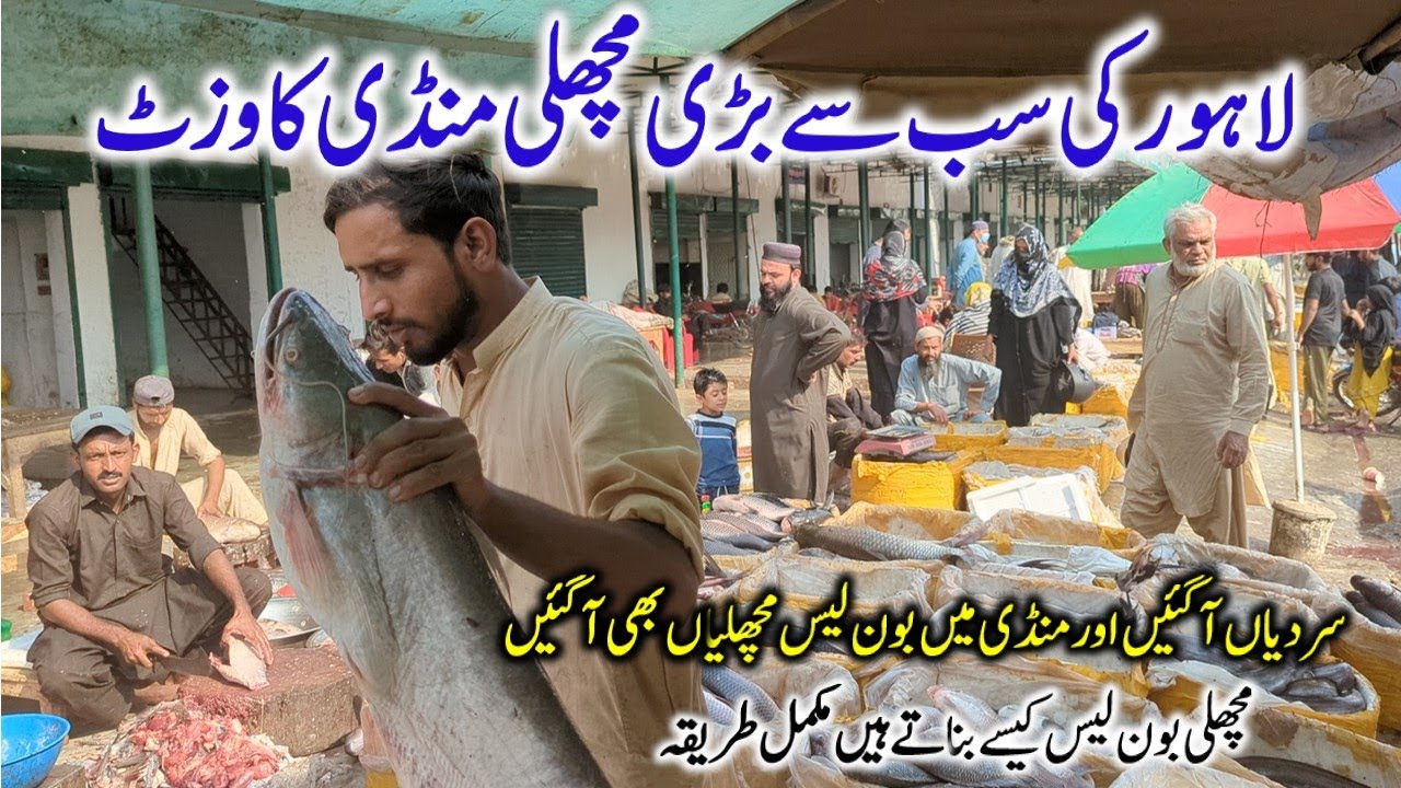 Boneless Fish | New Fish Mandi Lahore | Machli Mandi Near Ravi River | Fresh Fish & Rates 2025