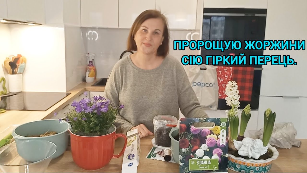 Пророщую ЖОРЖИНИ 🌸🌼Сію ГІРКИЙ ПЕРЕЦЬ🌶#пророщуванняжоржин#посівгіркогоперця##георгины#жоржини#пепець