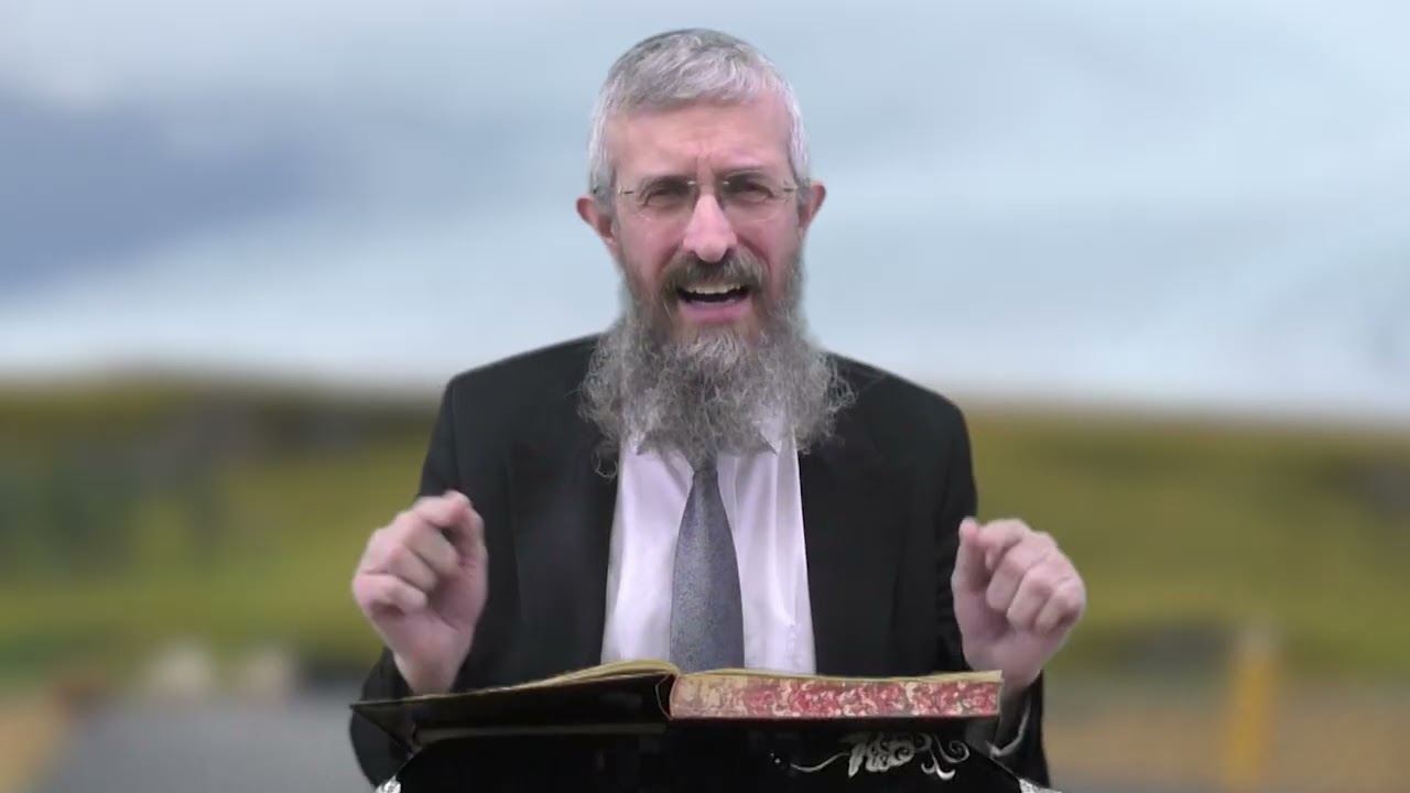 מסכת זבחים דף קא - 8 דקות של לומדות ועמקות בדרך הלימוד הישיבתית [Zevachim 101]
