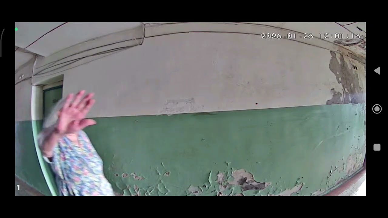 О тафинцевой о дурдоме