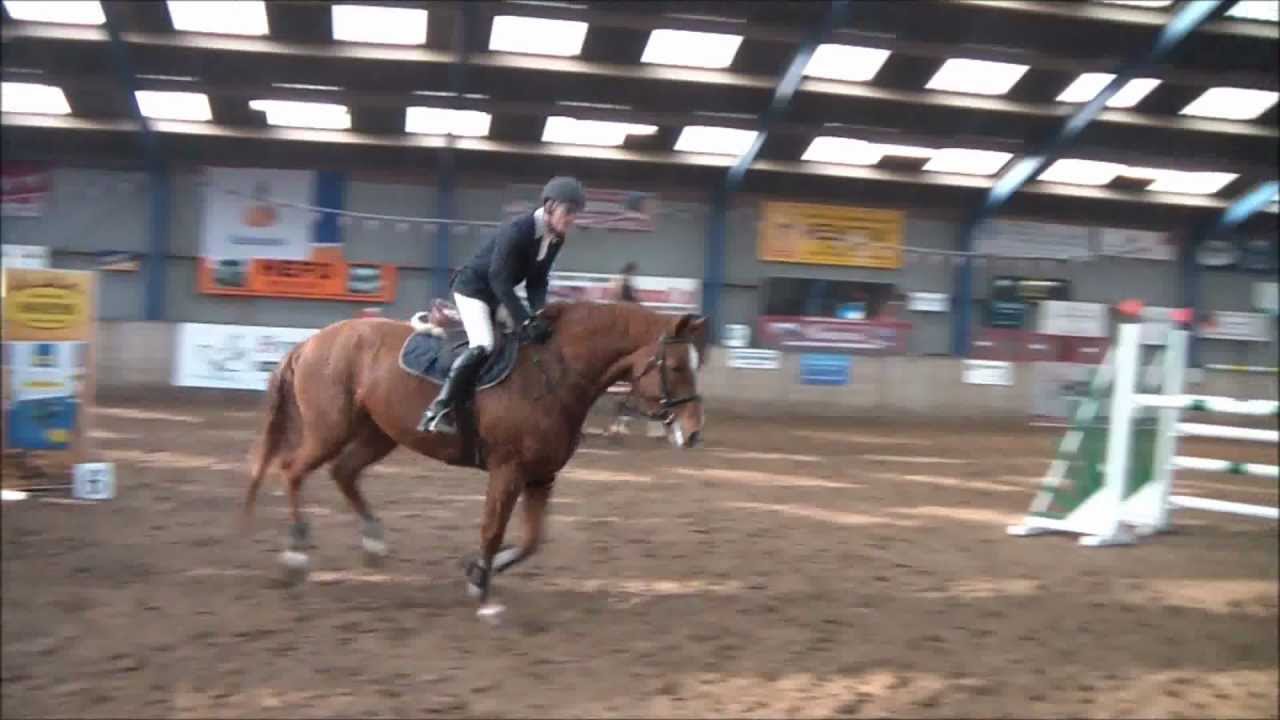 Arina (v. Indoctro) Indoor Zwaagwesteinde Z springen
