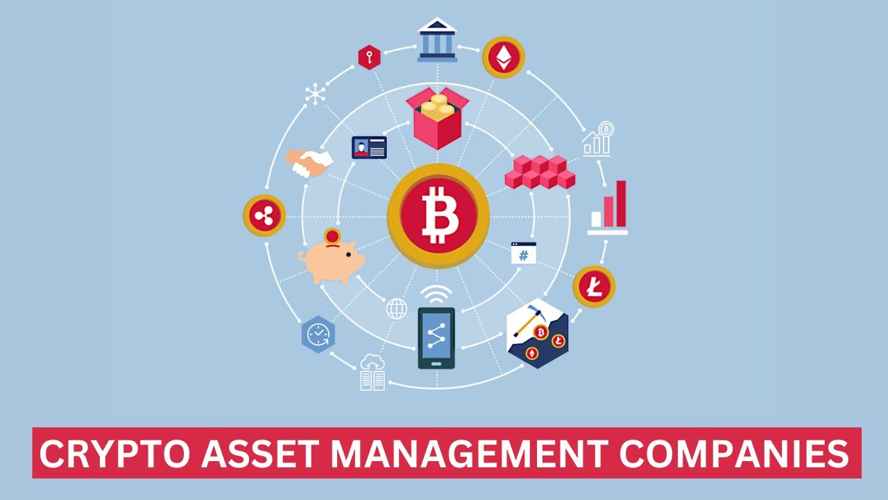 TOP Crypto Asset Management Companies to Check Out