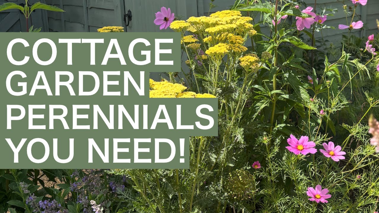 Essential Cottage Garden Plants & Perennial Flowers!