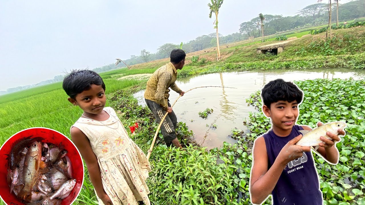 অনেক দিন পর ছোট্টুকাক্কুর মাছ ধরা | Village Fishing Vlog Video 