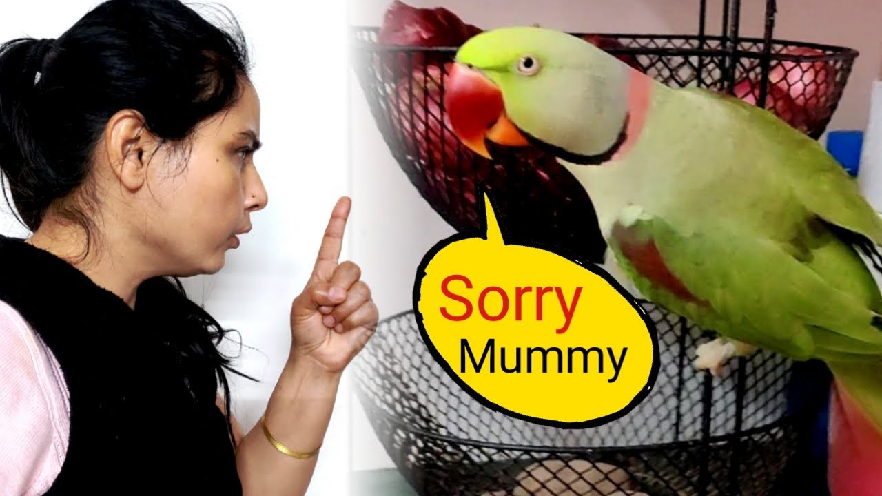 MummY Ko Aaya Gussa Pablo Ki BhukhHadtaal 😍