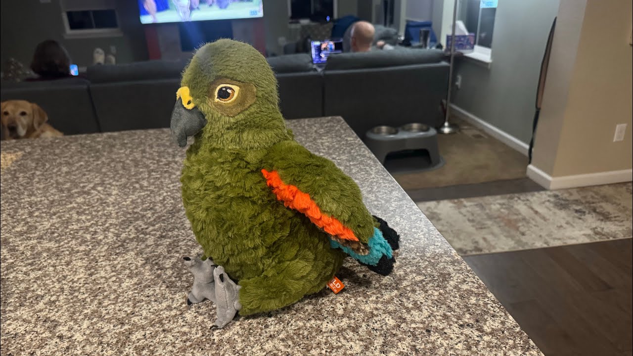Wild republic Kea toy review 