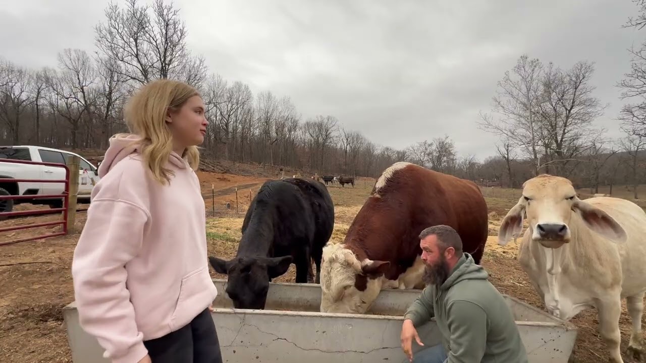 Getting Rufus’s mom involved 