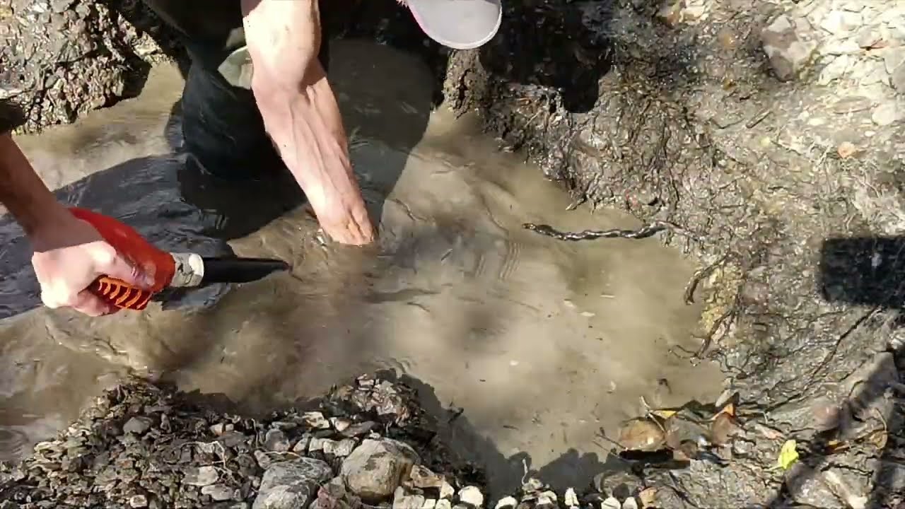 СКОЛЬКО ЗОЛОТА  НА ОТВАЛАХ ДЕДОВ