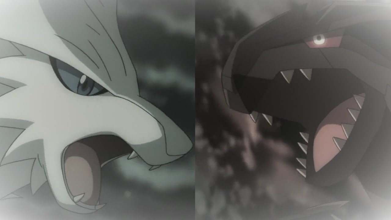 Zekrom & Reshiram - AMV - Gone Forever