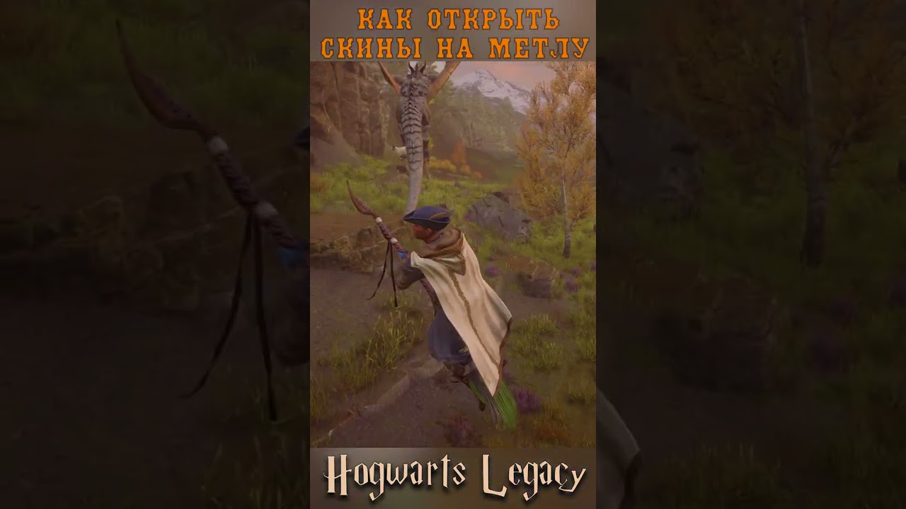 Как получить скины на метлу? Лопаем шары. Hogwarts Legacy | Хогвартс Наследие гайд 
