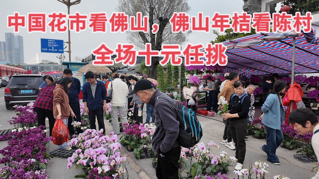 台山百曉：今日分享視頻拍攝地點是佛山市陳村花卉世界，陳村享有年桔之鄉美譽，帶大家來行花街轉大運，祝福各位鄉里馬年大吉，馬上發財，馬到成功！#cultural #travel 