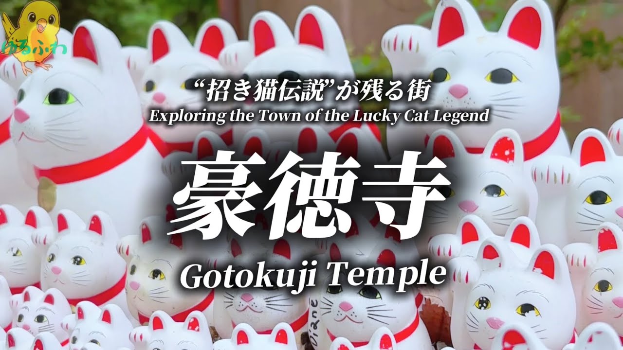 豪徳寺駅から裏道さんぽ｜招き猫と和菓子とローカル電車　Backstreet Walk: Lucky Cats, Sweets & Local