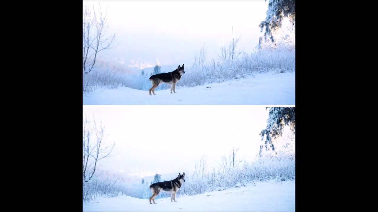 Speedretusche mit Jack
