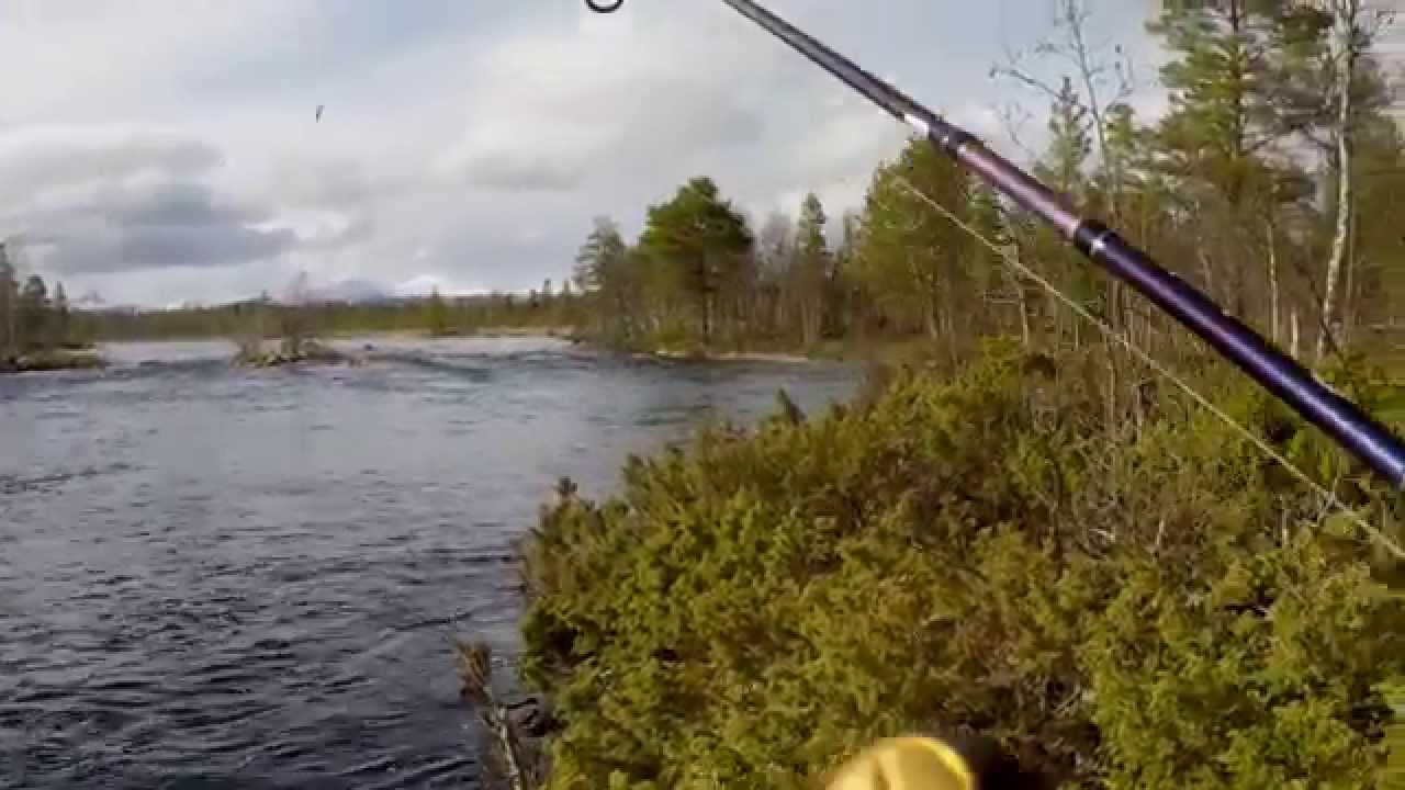 Norwegen 2015 , Femunden , Femundsmarka