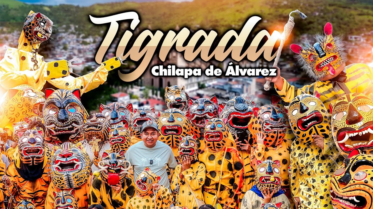 ¡TIGRES por todos lados! ¿Qué es la Tigrada? Así se disfruta en CHILAPA.