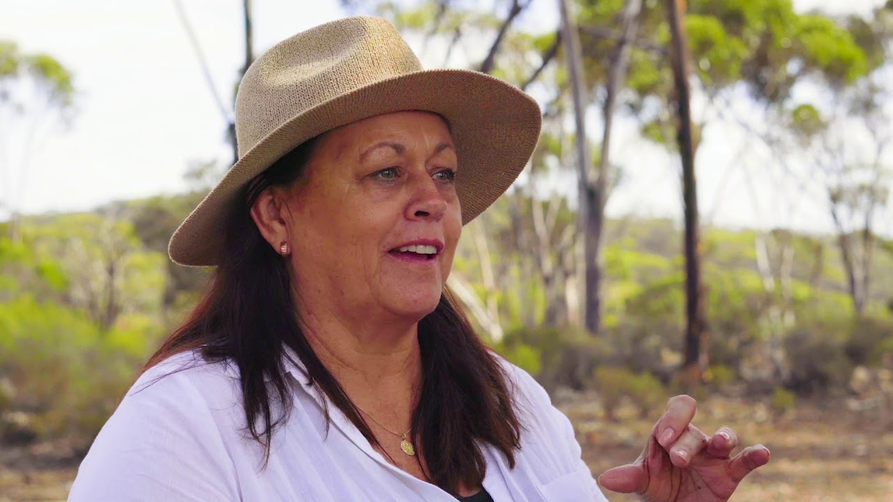 Tracing history to the Goldfields