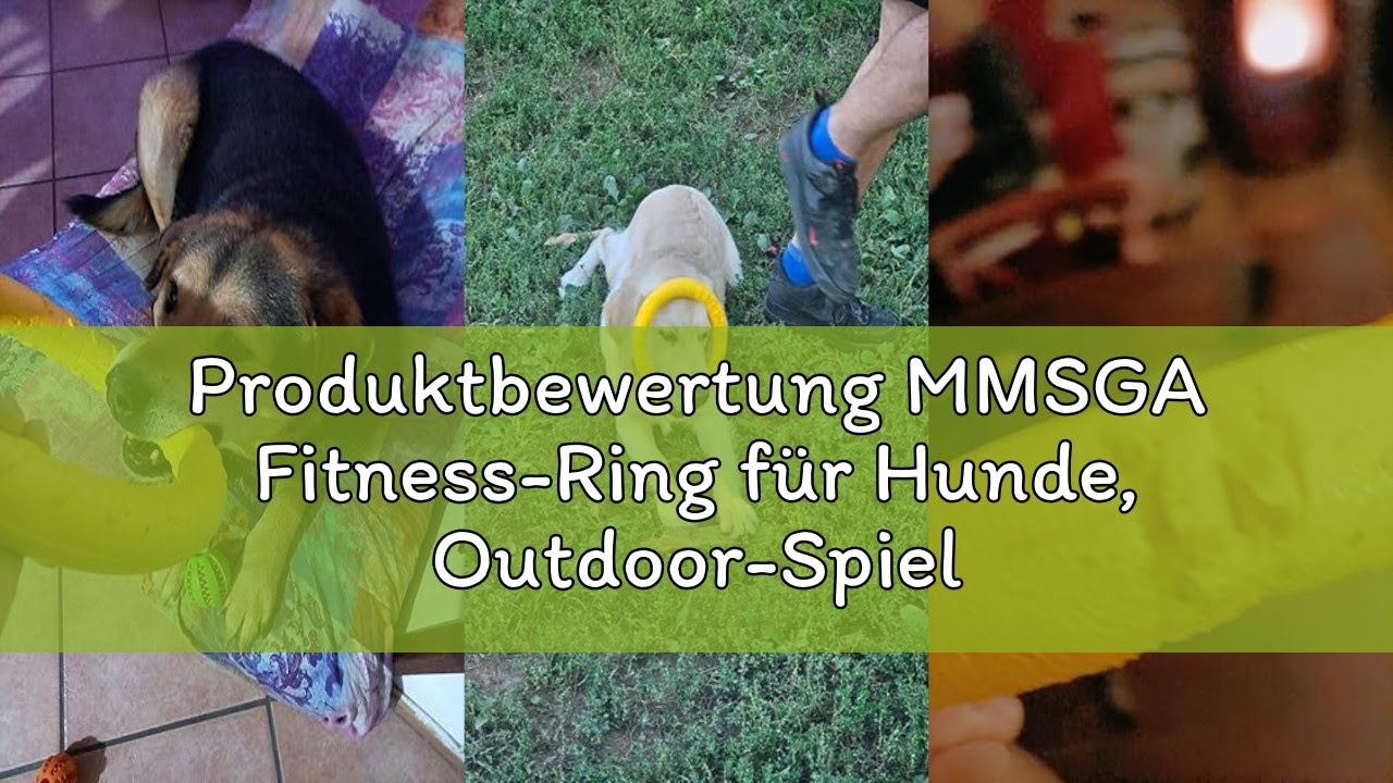 Produktbewertung MMSGA Fitness-Ring für Hunde, Outdoor-Spiel Agility Trainingsgerät, Interaktiver Tr