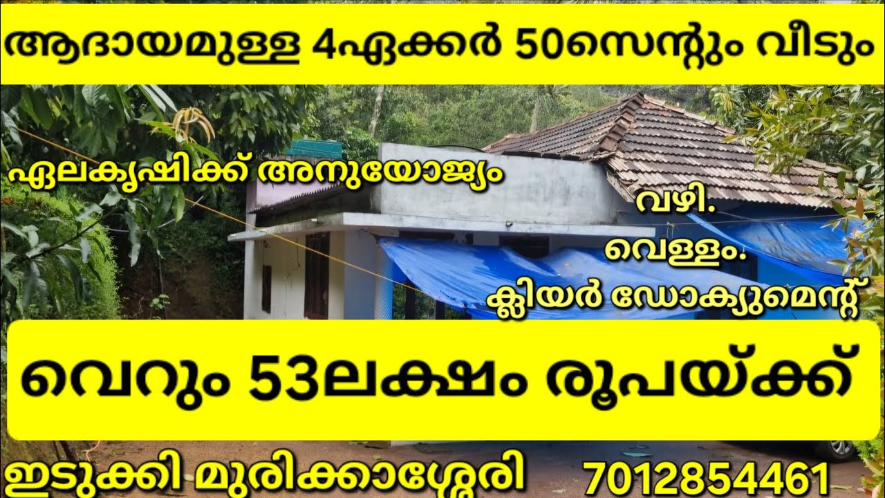 ആദായമുള്ള 4ഏക്കർ 50സെന്റും വീടും വെറും 53 ലക്ഷം രൂപയ്ക്ക്. ക്ലിയർ ഡോക്യുമെന്റ്. വഴി വെള്ളം ഇടുക്കി👇